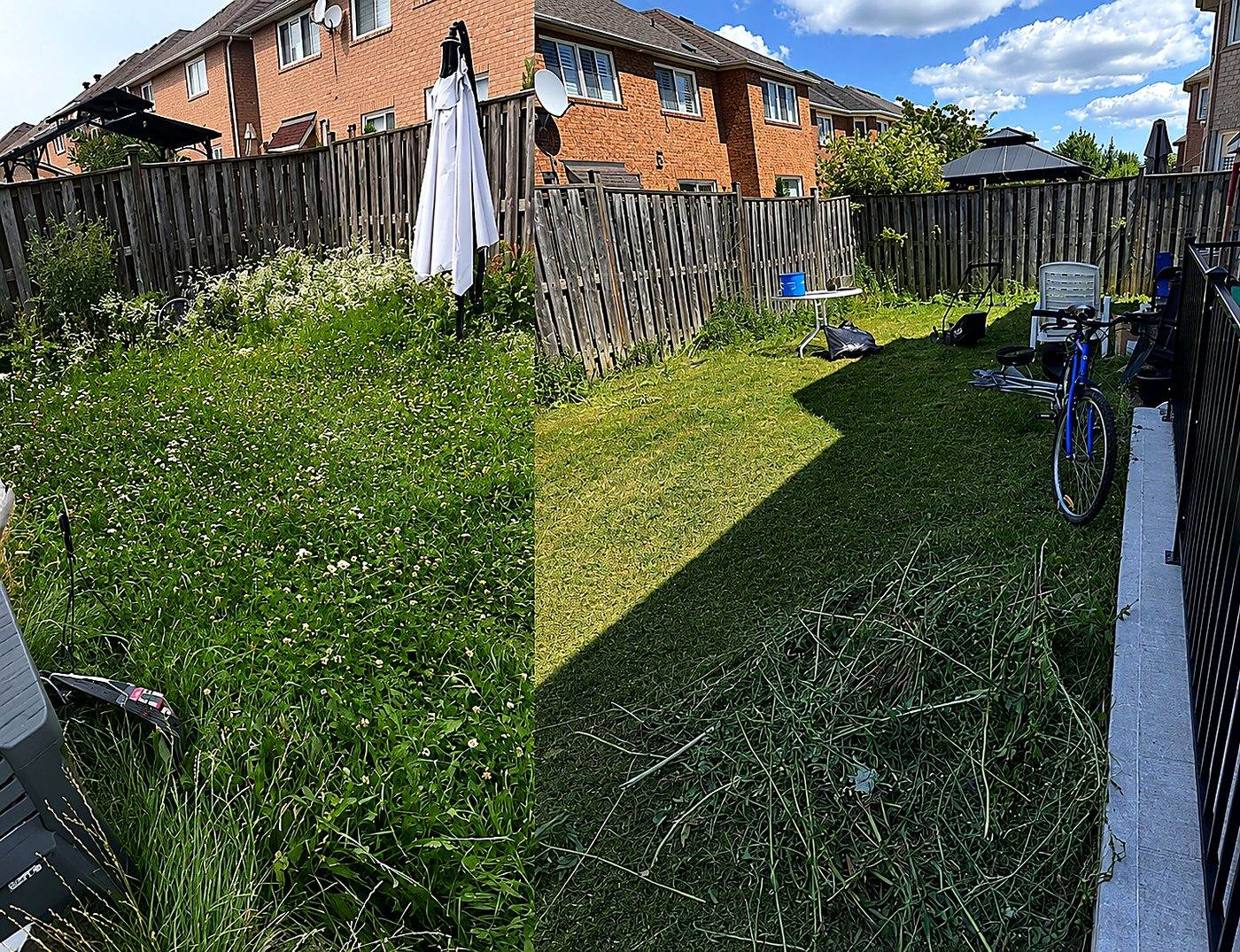 Backyard before and after yard clean-up, overgrown grass and weeds cleared